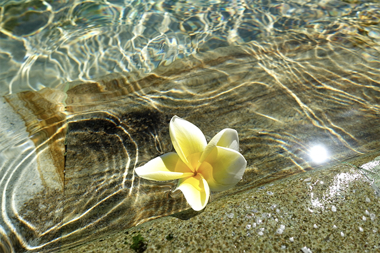 スタジオプログラム